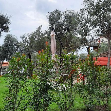 Apartamento Poggio Degli Ulivi Génova Exterior foto