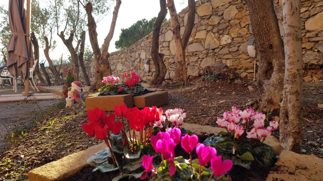 Apartamento Poggio Degli Ulivi Génova Exterior foto